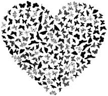 Beautiful heart, made of the black and grey icons of butterflies, at white background, clipart