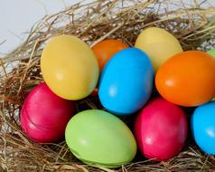 enchanting Eggs Colorful