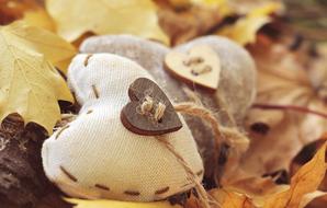 hand made soft hearts on the leaves
