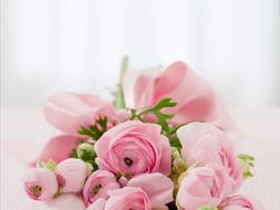 bouquet of pink buds