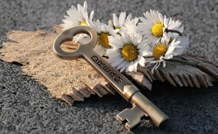 daisies and a key on a gray stone