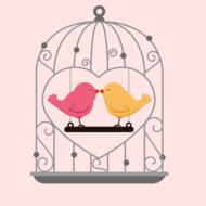 love birds beautiful drawing