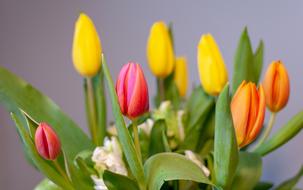 romantic bouquet with spring flowers