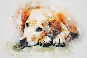 dog portrait cute drawing