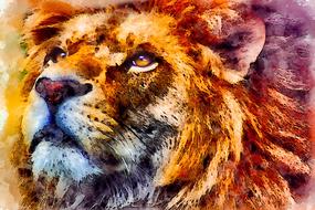 watercolor face of a lion