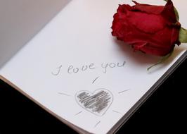 I Love you, hand drawing on white paper and red rose