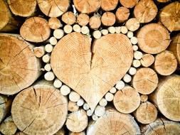 heart shaped firewood in stack