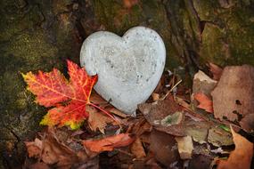 Beautiful stone heart near the colorful autumn leaves