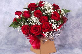 Beautiful, red roses and white flowers with green leaves in the pot