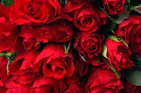 wonderful Red Rose flowers Bouquet