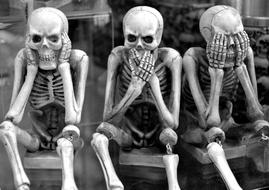 Skeletons Funny