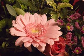 enchanting Flowers Rose Gerbera