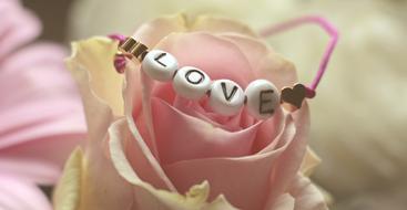 bracelet with word Love on pink Rose Flower