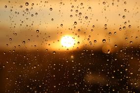 sun Rain Window