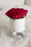 Beautiful rose flowers in the white pot with the silver ribbon