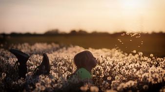 Girl lying among the flowers on the sunset