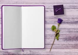 Book and Gift Rose