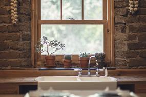 cacti on the windowsill of a farmhouse