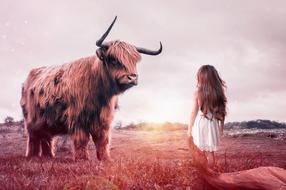 bull and little girl