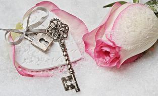 still life with rose and key