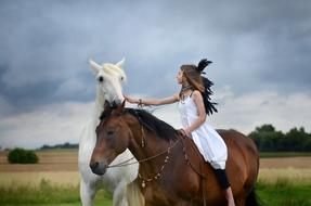girl on a brown horse stroking a white horse