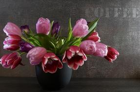 pot with tulips