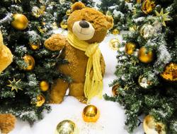 Emotions Christmas Decoration taddy