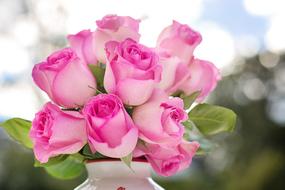 pink rose bouquet in a white vase