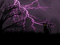 Silhouettes of the tree and cat with yellow eyes, and beautiful, bright, purple lightning in the sky, at night
