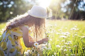 Beautiful girl picking flowers on the field