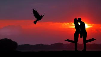 silhouettes of kissing Couple and Dove at colorful sky, collage