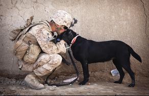 Soldier hugging black Dog at wall