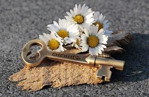 vintage Key and Daisies, dream, concept