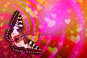 painted butterfly on a pink greeting card