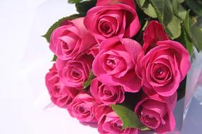 bouquet of fresh pink roses on the table