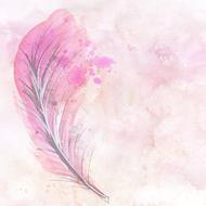 watercolor pink feather