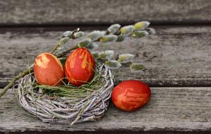 brown easter eggs in nest