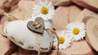 heart shaped pillow and white daisies