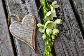 Feeling White Flower heart