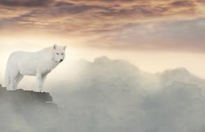 Wolf Clouds Fantasy drawing