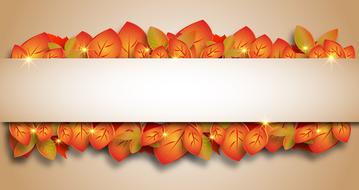 thanksgiving autumn leaf orange drawing