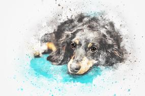 Beautiful and colorful drawing of the dog clipart