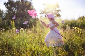 girl with a butterfly net catches butterflies in a meadow