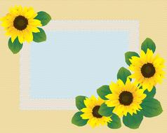 sunflowers as a frame for a template