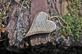 canvas heart on a log