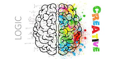 creative logic and colorful human brain