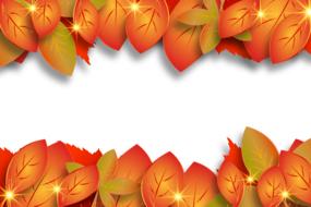 yellow autumn leaves on white background