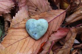 Love Heart stone on Autumn