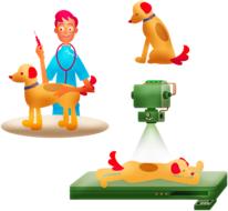 cartoon veterinarian with dogs, drawing