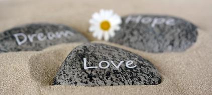 pebbles with inscriptions and camomile on the sand